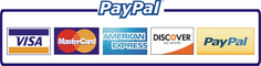 Payment of plagiarism check by PayPal